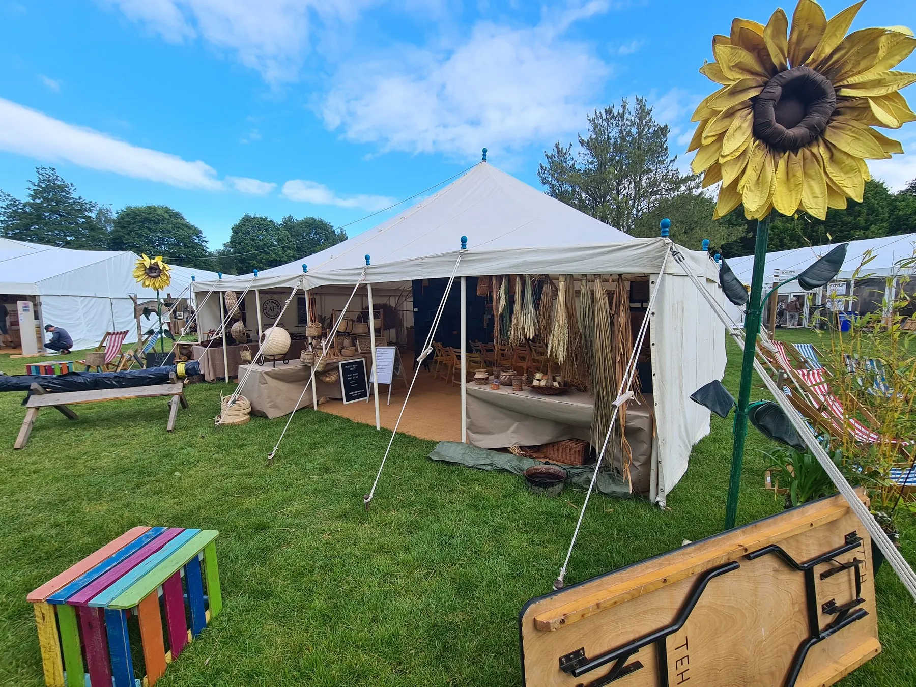Start Lighting bovey2